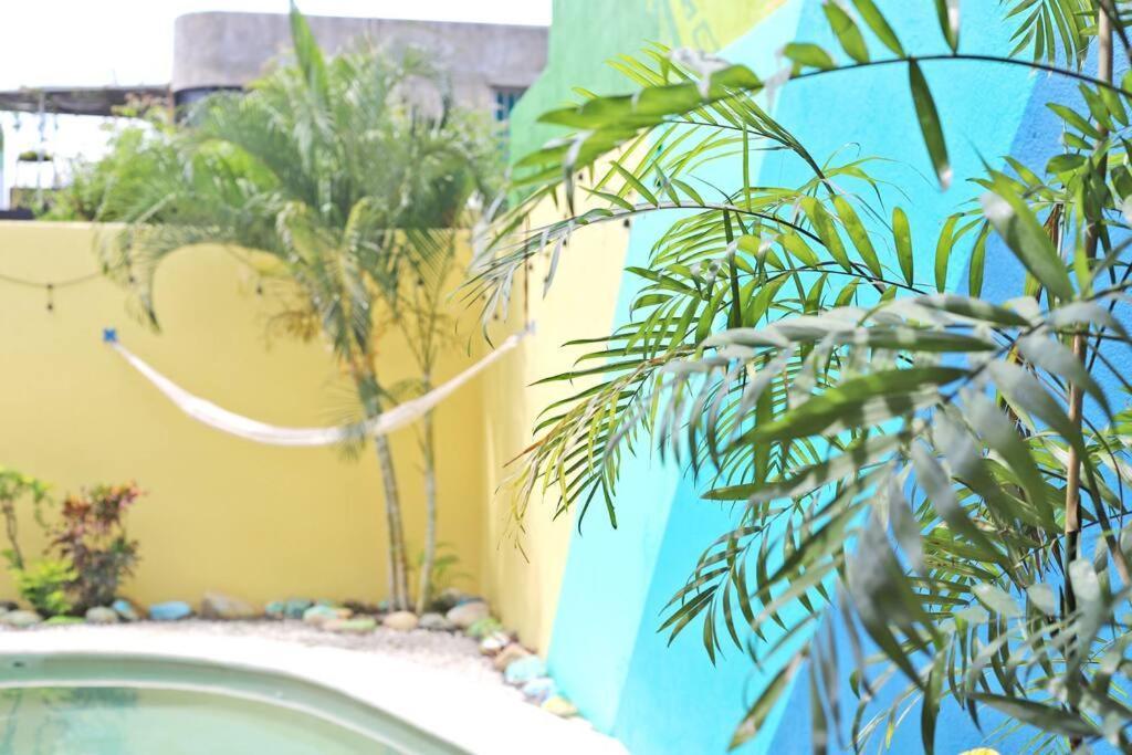 Studio -Sand At Mikasa- Fast Internet, King Bed, Pool, Near Beach, Ac Puerto Escondido  Eksteriør bilde